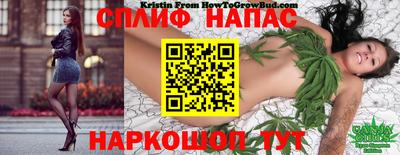 шишки Бузулук