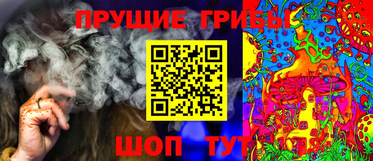 Орск  Псилоцибиновые грибы мухоморы  Вход с VPN 